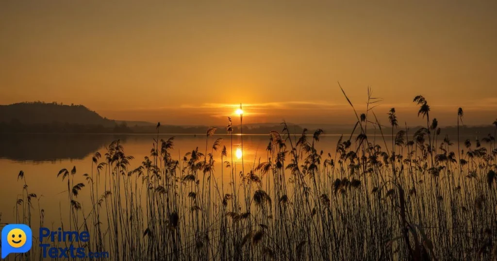 Happy Thursday Good Morning Greetings