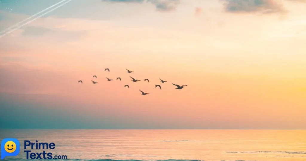 Happy Thursday Messages