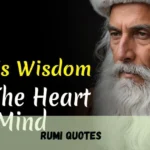 Rumi Quotes