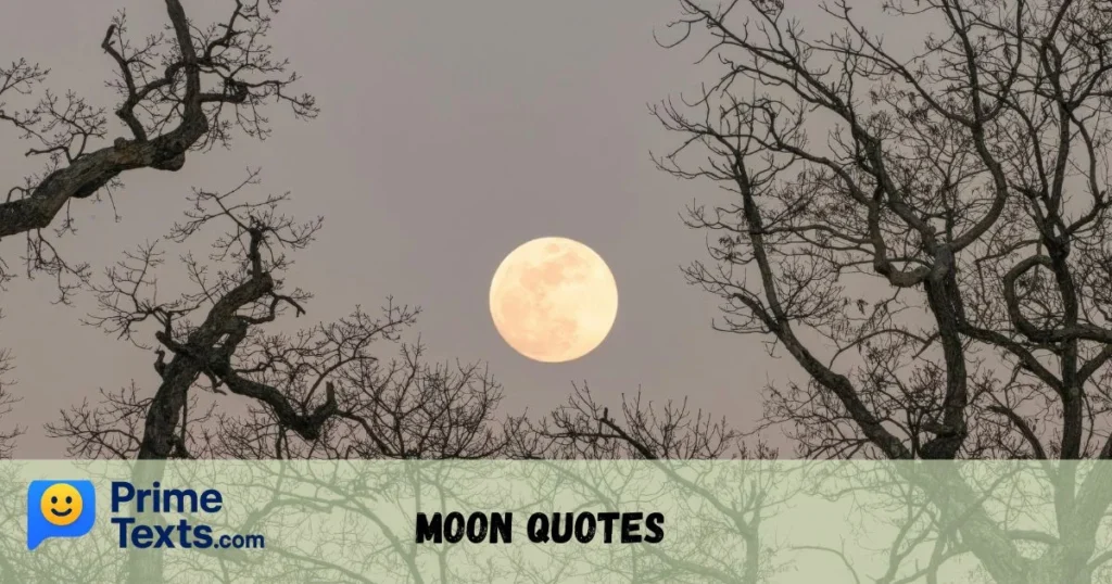 Moon Quotes
