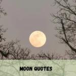 Moon Quotes